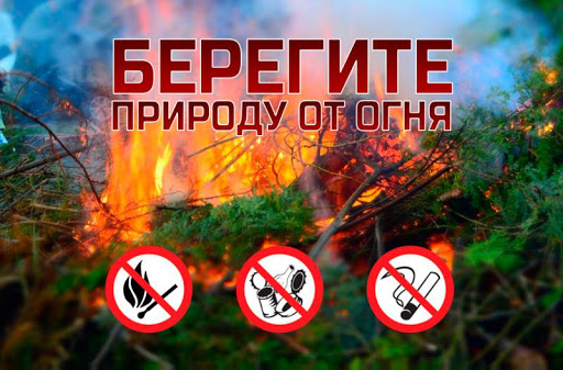 За один день на Днепропетровщине сгорело почти 38 гектаров ФОТО