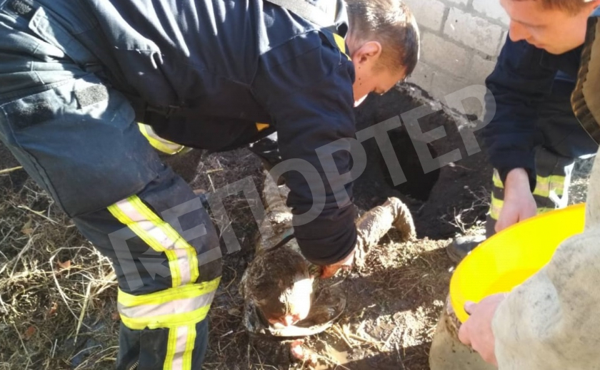 На Днепропетровщине спасли малыша, упавшего в выгребную яму туалета