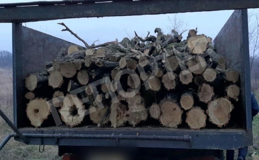 Под Днепром снова хозяйничают убийцы зеленых легких