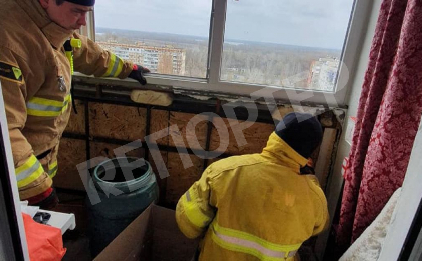 Из днепровской многоэтажки спасли полтысячи рукокрылых