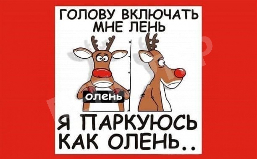 В Днепре прошла акция «Не паркуйся как дурак!»