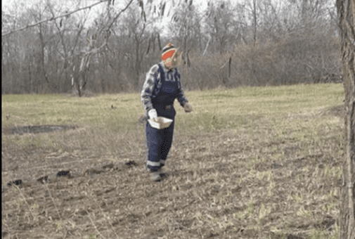 Гордимся! На Днепропетровщине мужчина сам высадил 700 дубов