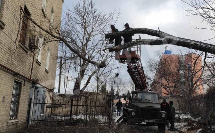 В Днепре прошел деревопад