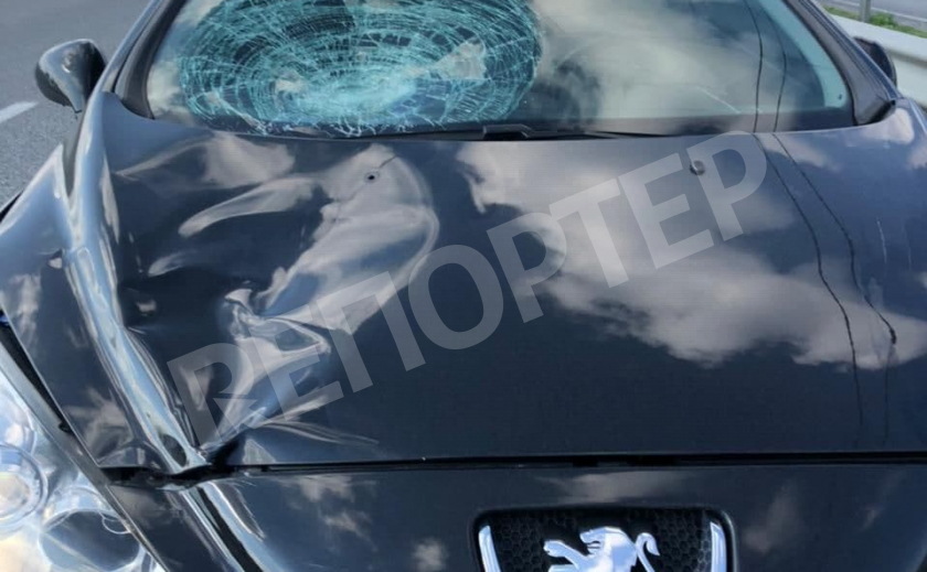 Полиция задержала водителя Peugeot, которая сбила детей под Днепром