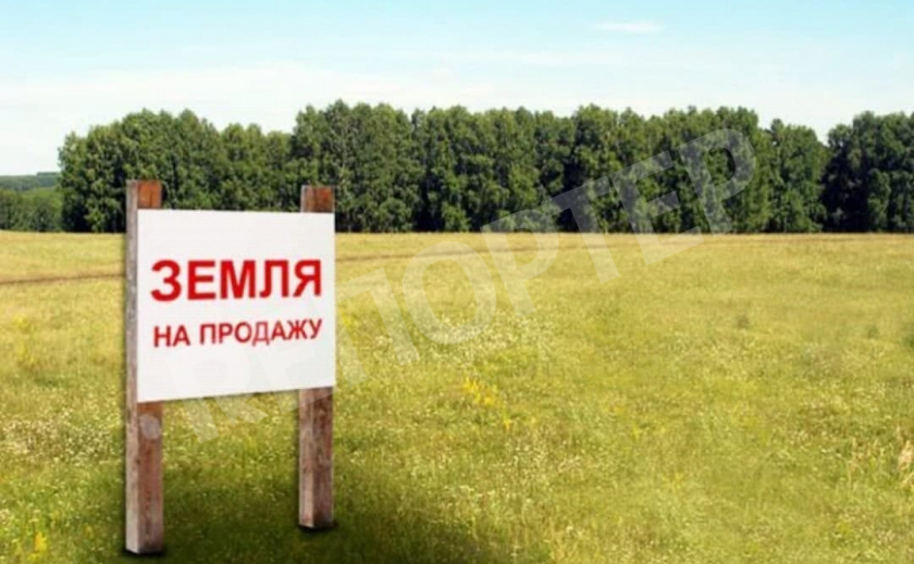 Бизнесмены Дмитрий Дубилет и Алекс Лисситса запустили сервис по продаже земли «Доброзем»