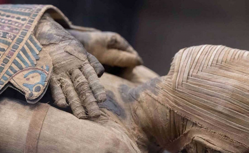 В останках египетской мумии обнаружили кокаин