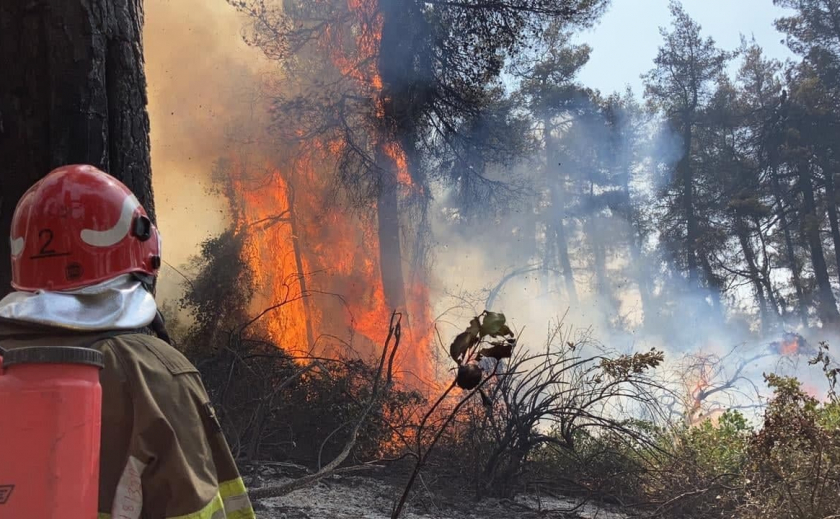 Спасатели из Днепра помогают тушить пожары в Греции