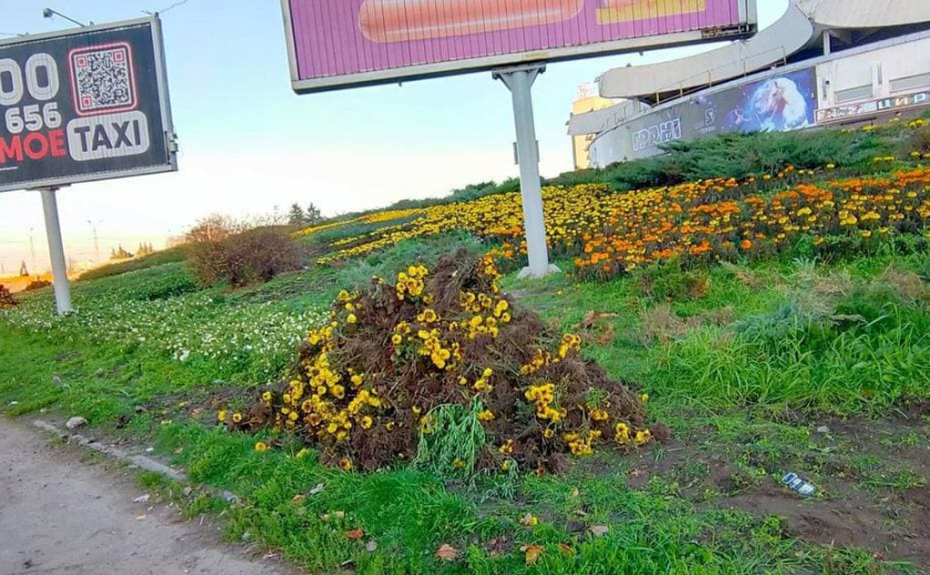 В Днепре коммунальные службы уничтожили цветы стоимостью 24 миллиона гривен, оплаченных из бюджета города