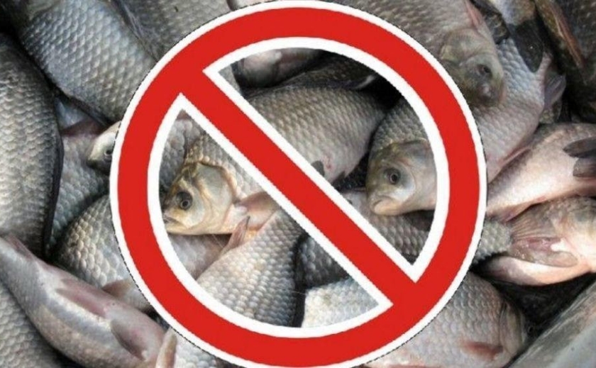 Рыбу не беспокоить: С 11 апреля на Днепропетровщине начинается нерестовый запрет на лов рыбы