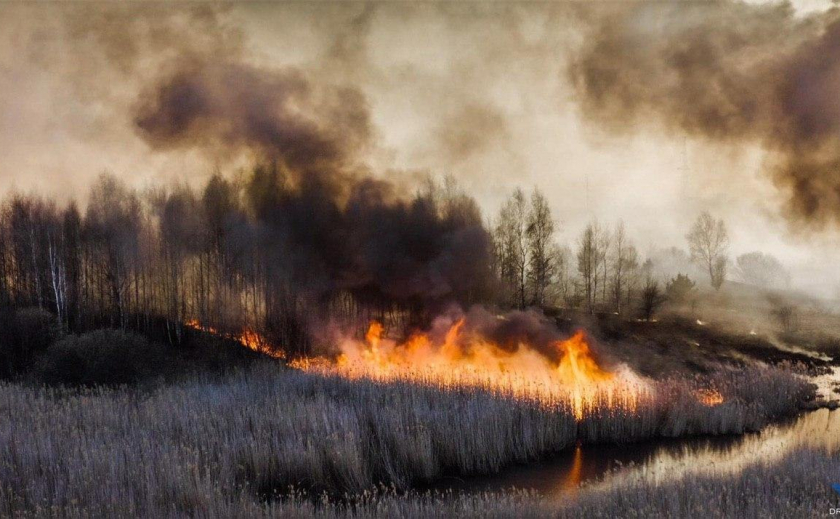 Как развивался пожар в зоне ЧАЭС и что там сгорело дотла