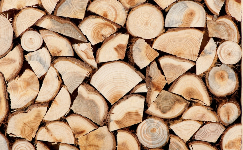 Де в Дніпропетровській області купити дрова: ціни та контакти