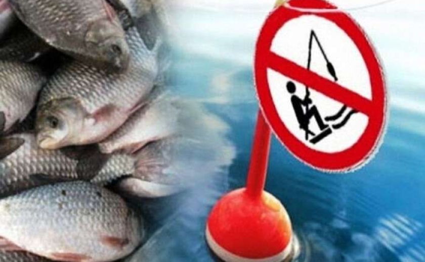 На Дніпропетровщині з 1 листопада заборонили ловити рибу на зимувальних ямах