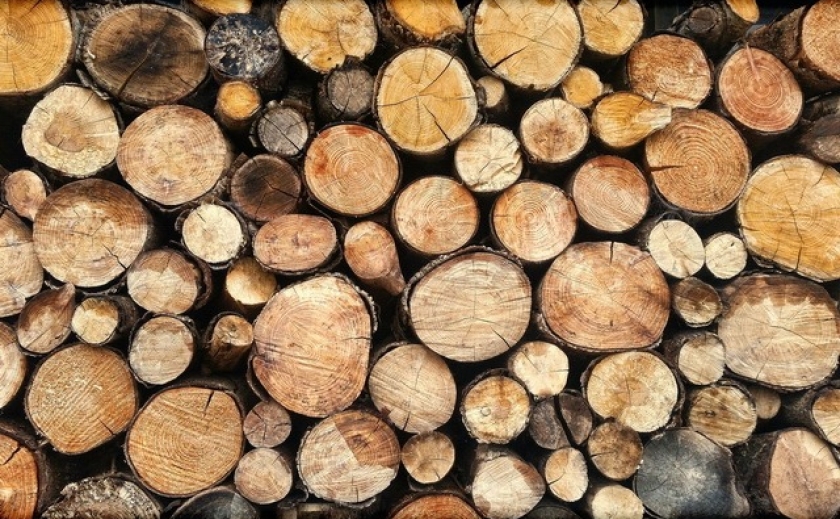 «ДроваЄ»: Мешканці Дніпропетровщини можуть замовити дрова через онлайн-магазин