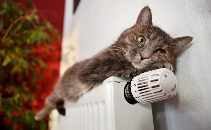Є тепло: Вже 63% будинків Дніпропетровщини з опаленням