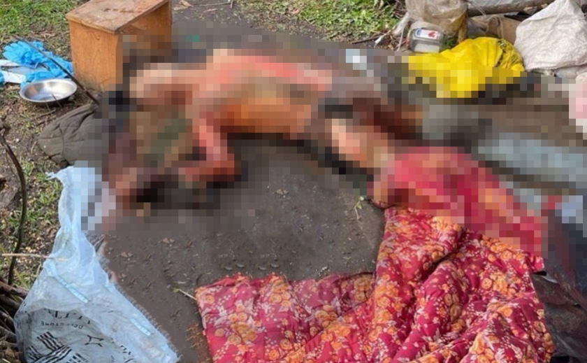 Напився та впав у багаття: у Дніпровському районі знайшли обгоріле тіло чоловіка