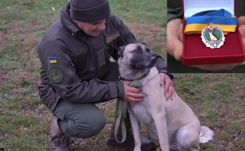 Вказала місце під уламками, де були тіла загиблих: Службову собаку Дніпровської бригади Нацгвардії нагородили медаллю