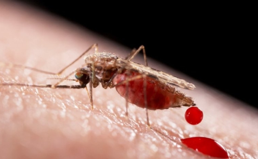 У Дніпрі є захворілий на малярію