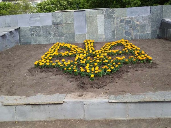 Поклон флористам! В Павлограде защитят гербоцветы от вандалов