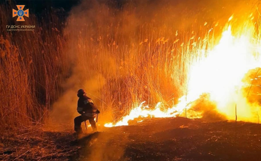 На Дніпропетровщині горить суха трава, сміття та очерет: пожежники рятують людські оселі від вогню