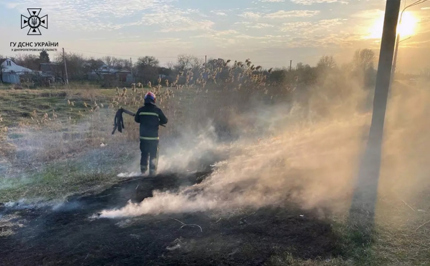 За минулу добу на Дніпропетровщині згоріло близько 50 гектарів сухостою