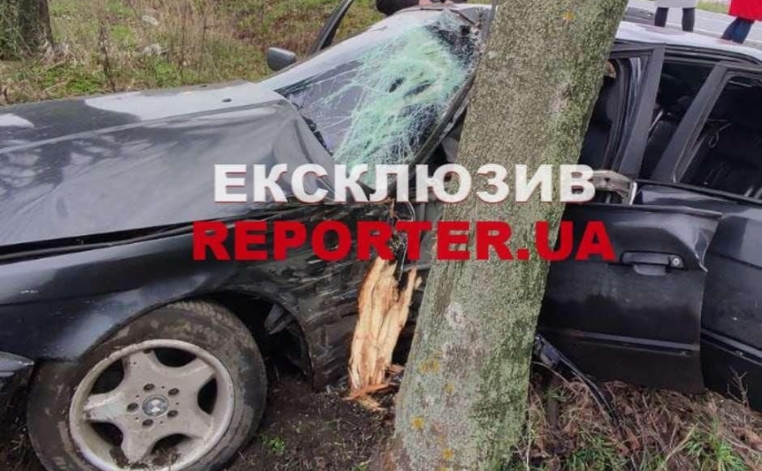 Злетів у кювет та врізався в дерево: на Дніпропетровщині сталася ДТП із потерпілими