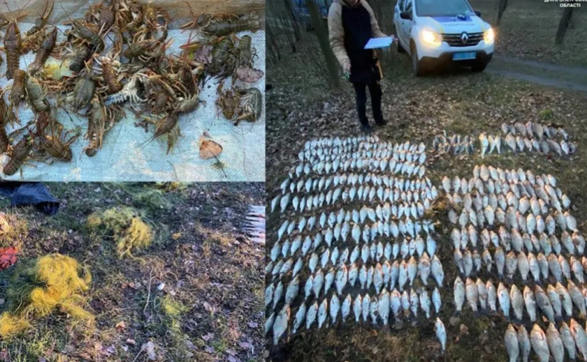 Наловив на 700 тисяч гривень: на Дніпропетровщині викрили браконьєра-рибалку
