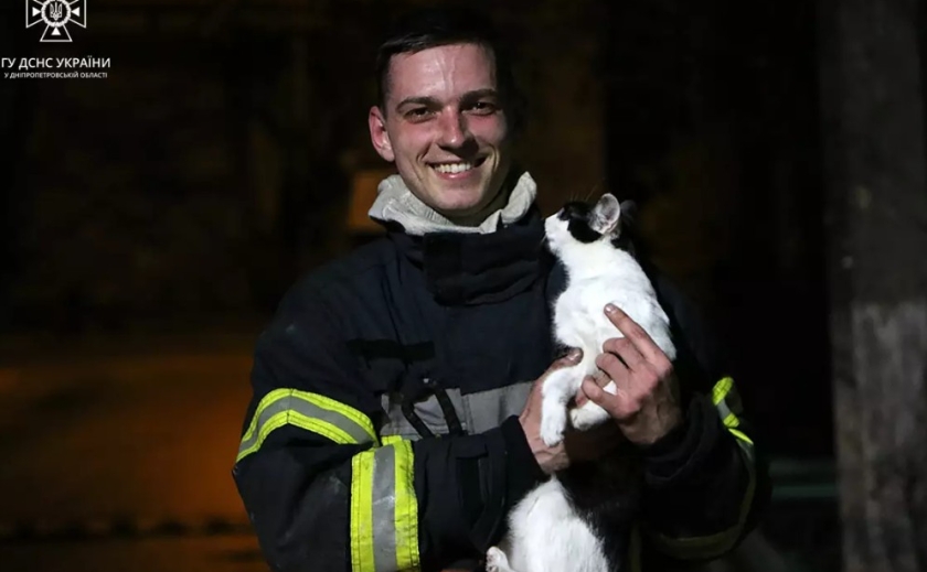 У Дніпрі під час пожежі на вулиці Калиновій надзвичайники врятували чоловіка та кота