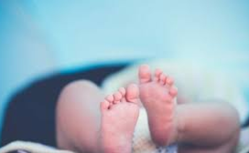 Квітневий бебі-бум: У Дніпрі за другий місяць весни народилося більше півтисячі малюків