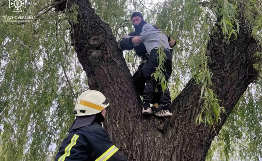 У Дніпрі надзвичайники допомогли хлопчику спуститися з дерева