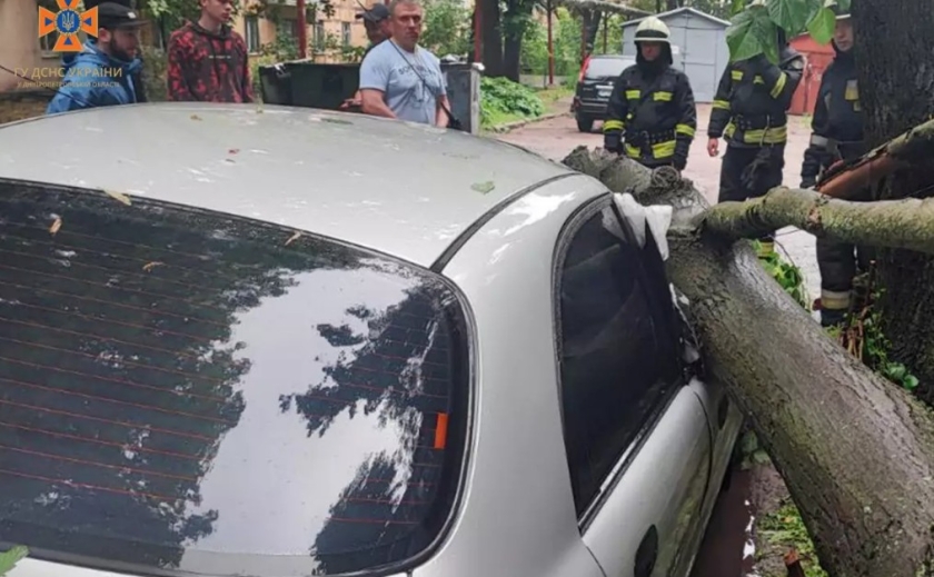 Наслідки негоди: У Дніпрі аварійне дерево впало на легковик