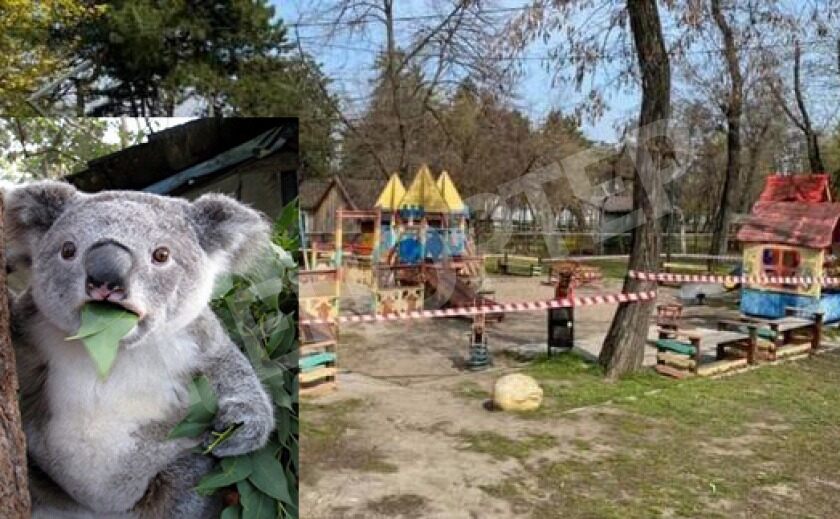 Двое днепрян на детской площадке шалили с бульбулятором