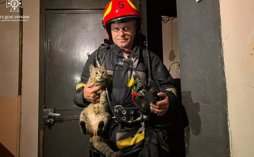 Врятували котика: у Дніпрі вогнеборці загасили пожежу у квартирі