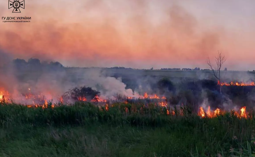 ДСНС: На Дніпропетровщині вигоріли 7 гектарів екосистеми