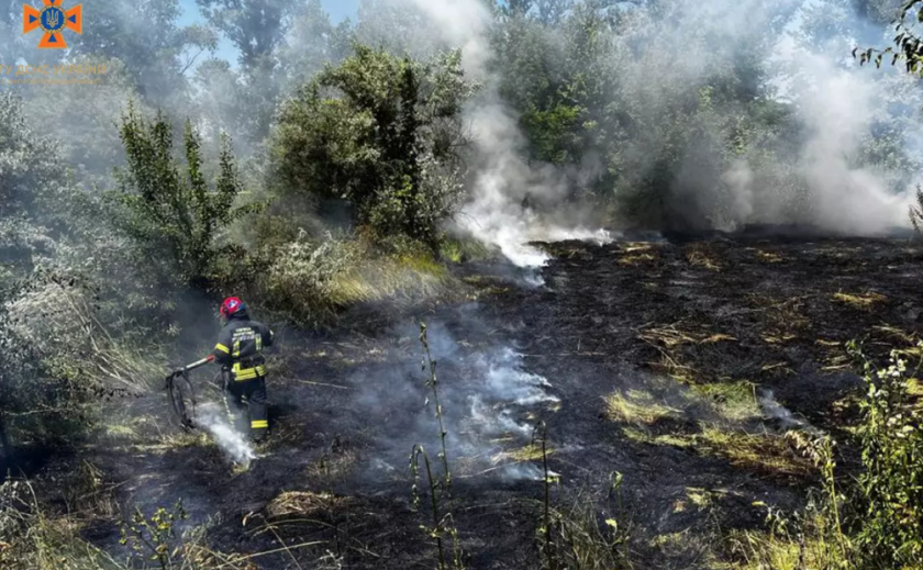 На Дніпропетровщині за добу ліквідували 23 пожежі в екосистемах