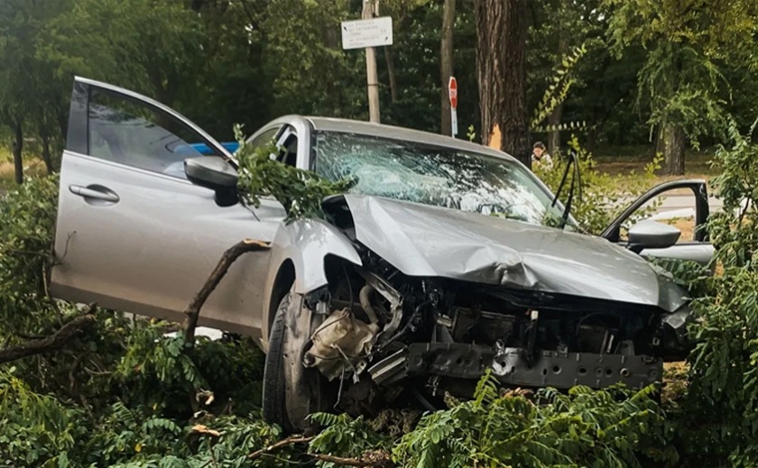 Не впорався з керуванням та влетів у дерево: подробиці ДТП з постраждалим у Дніпрі