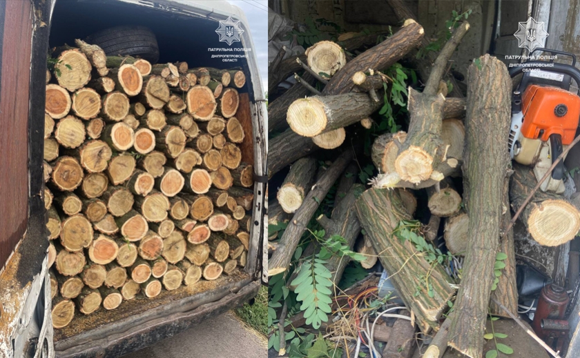 Патрульні Дніпропетровщини виявили факти незаконної вирубки дерев: деталі