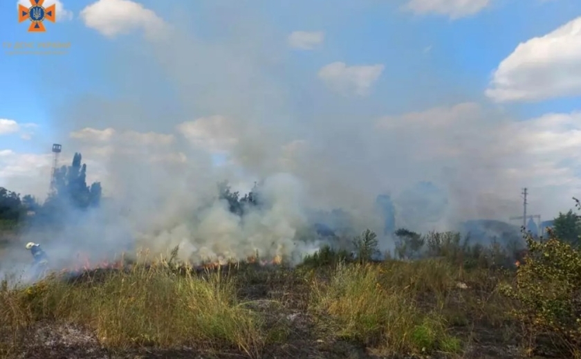 Із початку року на Дніпропетровщині пожежі знищили більше 800 гектарів екосистем