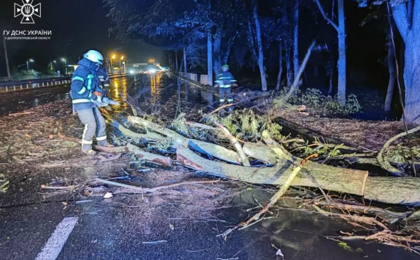 Повалені дерева, пошкоджені автівки: на Дніпропетровщині надзвичайники ліквідовують наслідки негоди