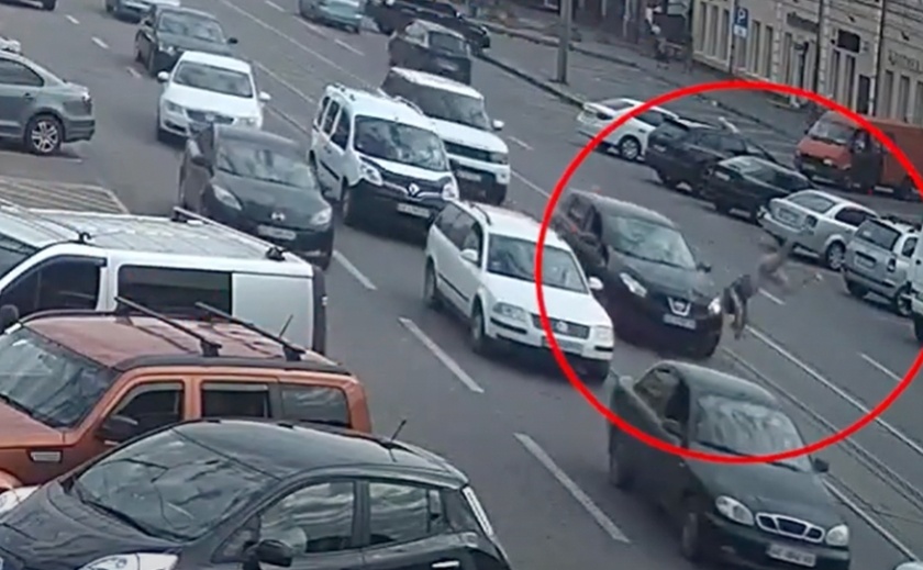 Відлетів на декілька метрів: у Дніпрі водій Nissan збив чоловіка Відлетів на декілька метрів: у Дніпрі водій Nissan збив чоловіка