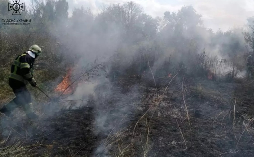 Протягом доби на Дніпропетровщині вогнеборці ліквідували 17 пожеж в екосистемах