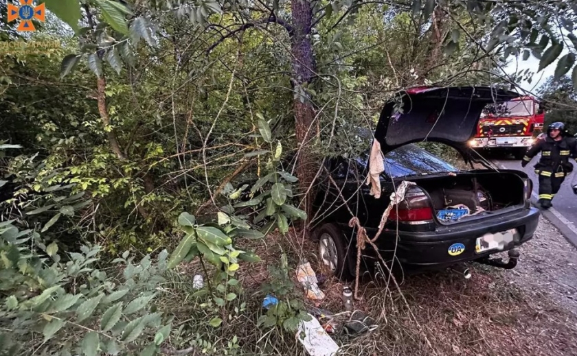Не впорався з керуванням та врізався у дерево: у Дніпровському районі рятувальники деблокували травмованого водія з пошкодженої автівки