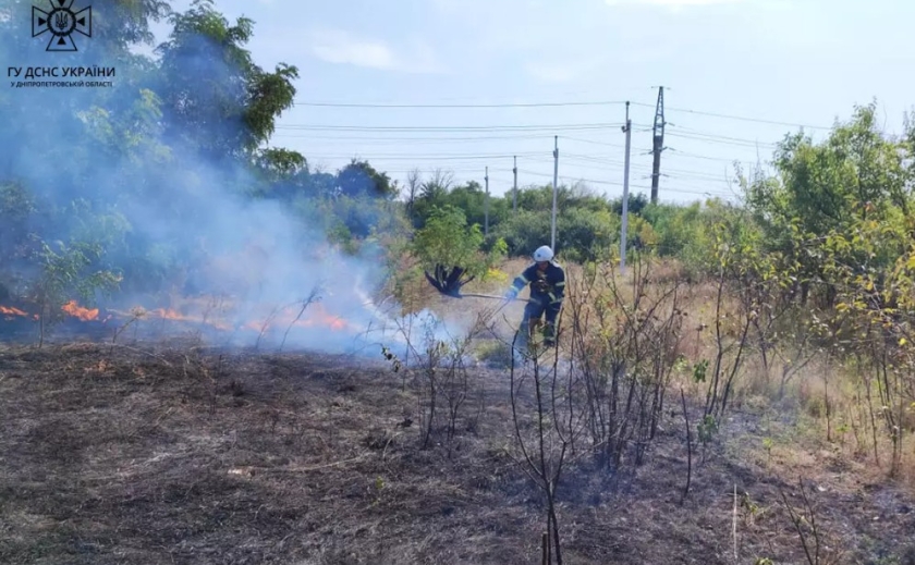 На Дніпропетровщині протягом доби вогнеборці ліквідували 34 пожежі в екосистемах