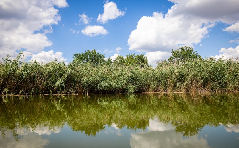 На Дніпропетровщині проводять щотижневий моніторинг питної та річкової води: у деяких річках знайдено кишкову паличку