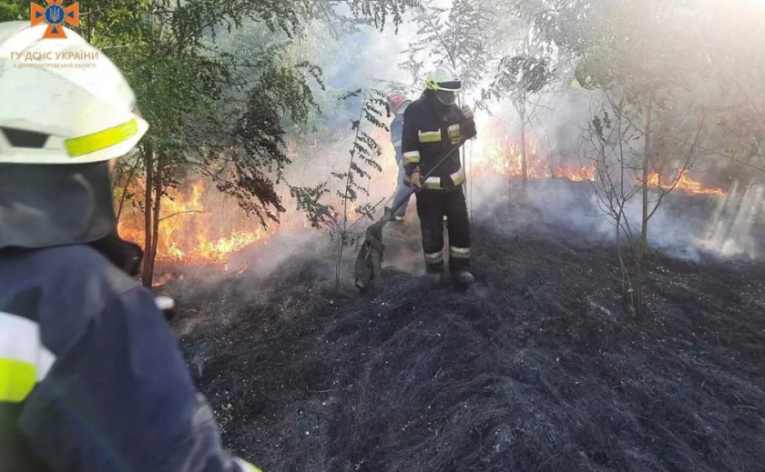 45 пожеж в екосистемах: за минулу добу на Дніпропетровщині вигоріло 40 га сухостою