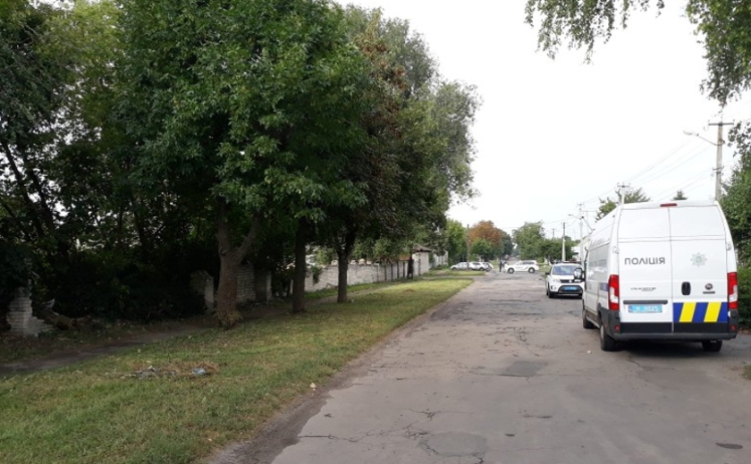 Понівечене тіло знайшли в кущах: на Дніпропетровщині вбили 16-річну дівчину