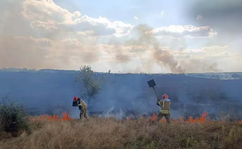 Вигоріло 20 га: вогнеборці Дніпропетровщини протягом доби ліквідували 37 пожеж в екосистемах
