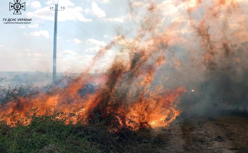 74 займання за добу: вогнеборці Дніпропетровщини долають численні пожежі в екосистемах