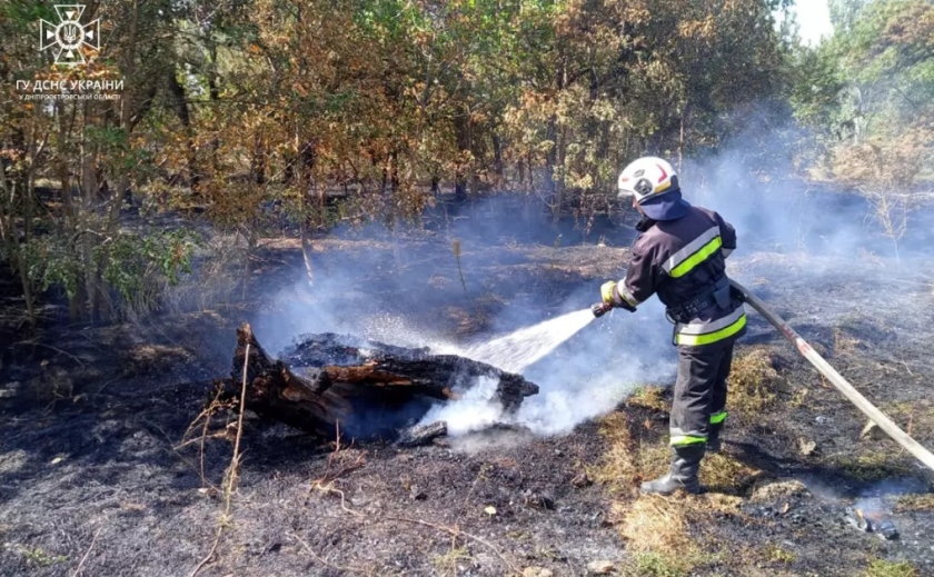 60 займань протягом доби: на Дніпропетровщині надзвичайники продовжують ліквідувати пожежі в екосистемах