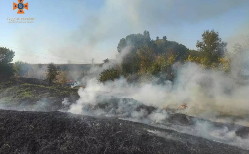 Рятувальники Дніпропетровщини ліквідували 60 пожеж в екосистемах: деталі