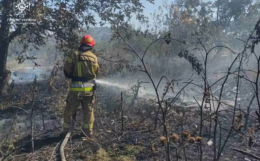 Вогонь знищив понад 55 га природних екосистем протягом доби: надзвичайники Дніпропетровщини продовжують боротьбу зі щоденними пожежами